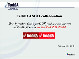TechBA-CSOFT collaboration

How to position (and export) IT products and services
   in North America via the TechBA Model




                                          February 12th, 2013




                                                            1
 