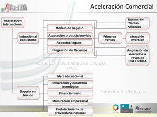 Aceleración Comercial Aceleración internacional Ampliación de mercados a través de Red TechBA Inducción al ecosistema Modelo de negocio Adaptación producto/servicio Aspectos legales  Integración de Recursos Primeras  ventas Atracción  inversión Expansión: Ventas Alianzas  Soporte en  México Financiamiento Innovación y desarrollo  tecnológico Mercado nacional Maduración empresarial Fortalecimiento de  proveeduría nacional Duración 8 a 12 meses Gran parte del tiempo en TechBA +70% 