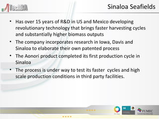 Has over 15 years of R&D in US and Mexico developing revolutionary technology that brings faster harvesting cycles and substantially higher biomass outputs The company incorporates research in Iowa, Davis and Sinaloa to elaborate their own patented process The Aonori product completed its first production cycle in Sinaloa The process is under way to test its faster  cycles and high scale production conditions in third party facilities. Sinaloa Seafields 