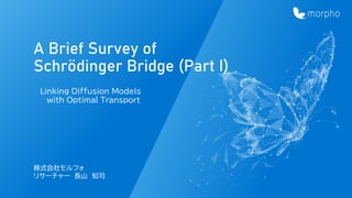 A Brief Survey of
Schrödinger Bridge (Part I)
Linking Diffusion Models
with Optimal Transport
株式会社モルフォ
リサーチャー 長山 知司
 