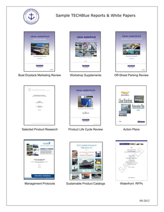 Sample TECHBlue Reports & White Papers




Boat Drystack Marketing Review     Workshop Supplements         Off-Street Park...