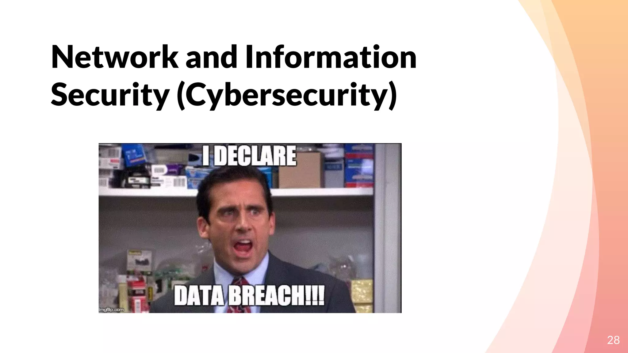 Network and Information
Security (Cybersecurity)
28
 