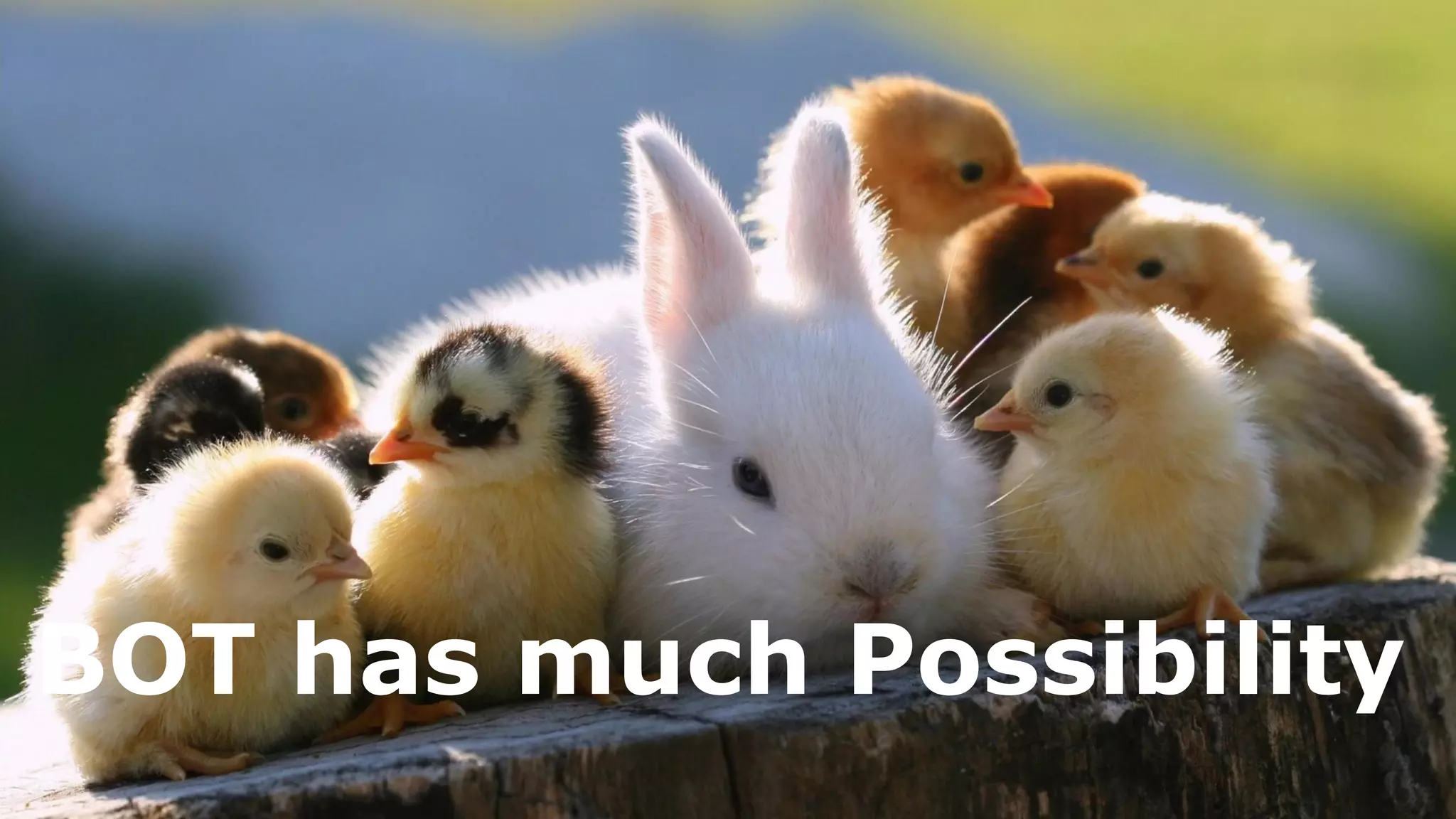 BOT has much Possibility
 