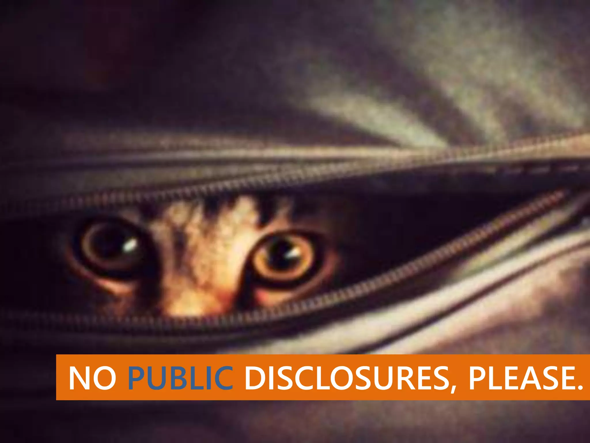 NO PUBLIC DISCLOSURES, PLEASE.
 