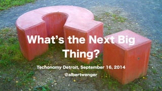 What’s the Next Big 
Thing? 
Techonomy Detroit, September 16, 2014 
@albertwenger 
 