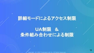 Copyright (C) 2022 Toranoana Lab Inc. All Rights Reserved.
詳細モードによるアクセス制限
UA制限　＆
条件組み合わせによる制限
18
 