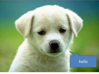 Tech Days Paris Intoduction F# and Collective Intelligence