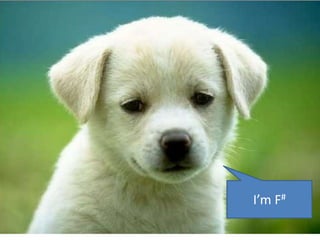 Tech Days Paris Intoduction F# and Collective Intelligence