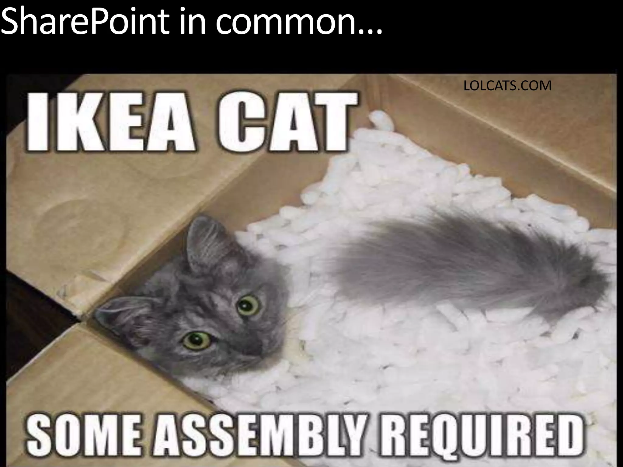 SharePoint in common…LOLCATS.COM