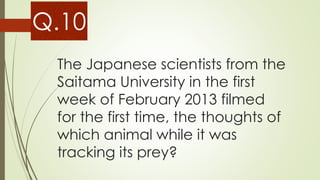 The Japanese scientists from the
Saitama University in the first
week of February 2013 filmed
for the first time, the thoughts of
which animal while it was
tracking its prey?
Q.10
 