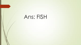 Ans: FISH
 