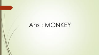 Ans : MONKEY
 