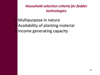 What explains pockets of success in fodder development?