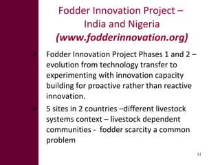 What explains pockets of success in fodder development?