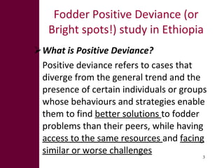 What explains pockets of success in fodder development?