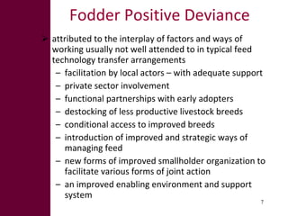 What explains pockets of success in fodder development?
