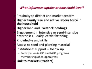 What explains pockets of success in fodder development?