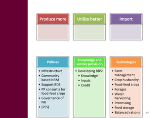 Feed Investment Study: Summary