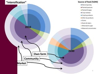 Feed Investment Study: Summary