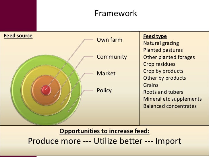 Feed Investment Study Summary