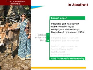 Introduction to the ‘TechFit’ feed technology workshop