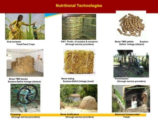 Introduction to the ‘TechFit’ feed technology workshop