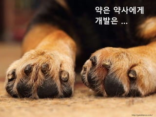 약은 약사에게
개발은 …
http://gatoblanco.co.kr/
 