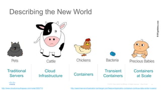 Traditional
Servers
Describing the New World
Cloud
Infrastructure Containers
Transient
Containers
Containers
at Scale
http://searchservervirtualization.techtarget.com/feature/Application-containers-continue-data-center-invasionhttp://www.cloudcomputingexpo.com/node/3293710
 