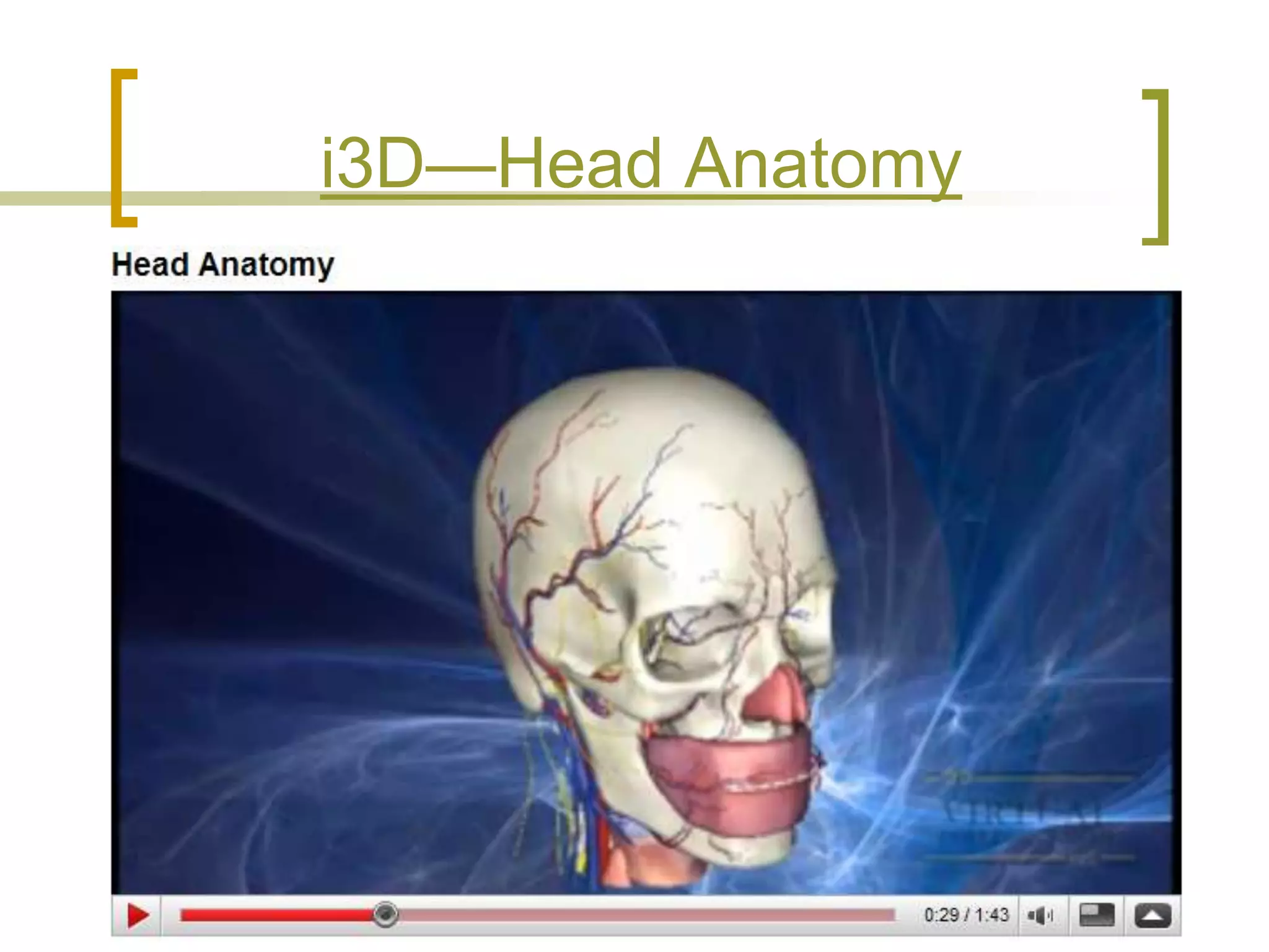 Technology in the Classroom: It's More Than Just Word & Powerpoint