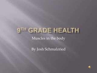 9th Grade Health Muscles in the body By Josh Schmalzried 