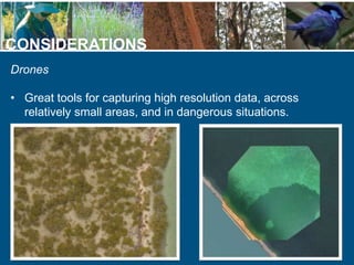 CONSIDERATIONS
Drones
• Great tools for capturing high resolution data, across
relatively small areas, and in dangerous si...
