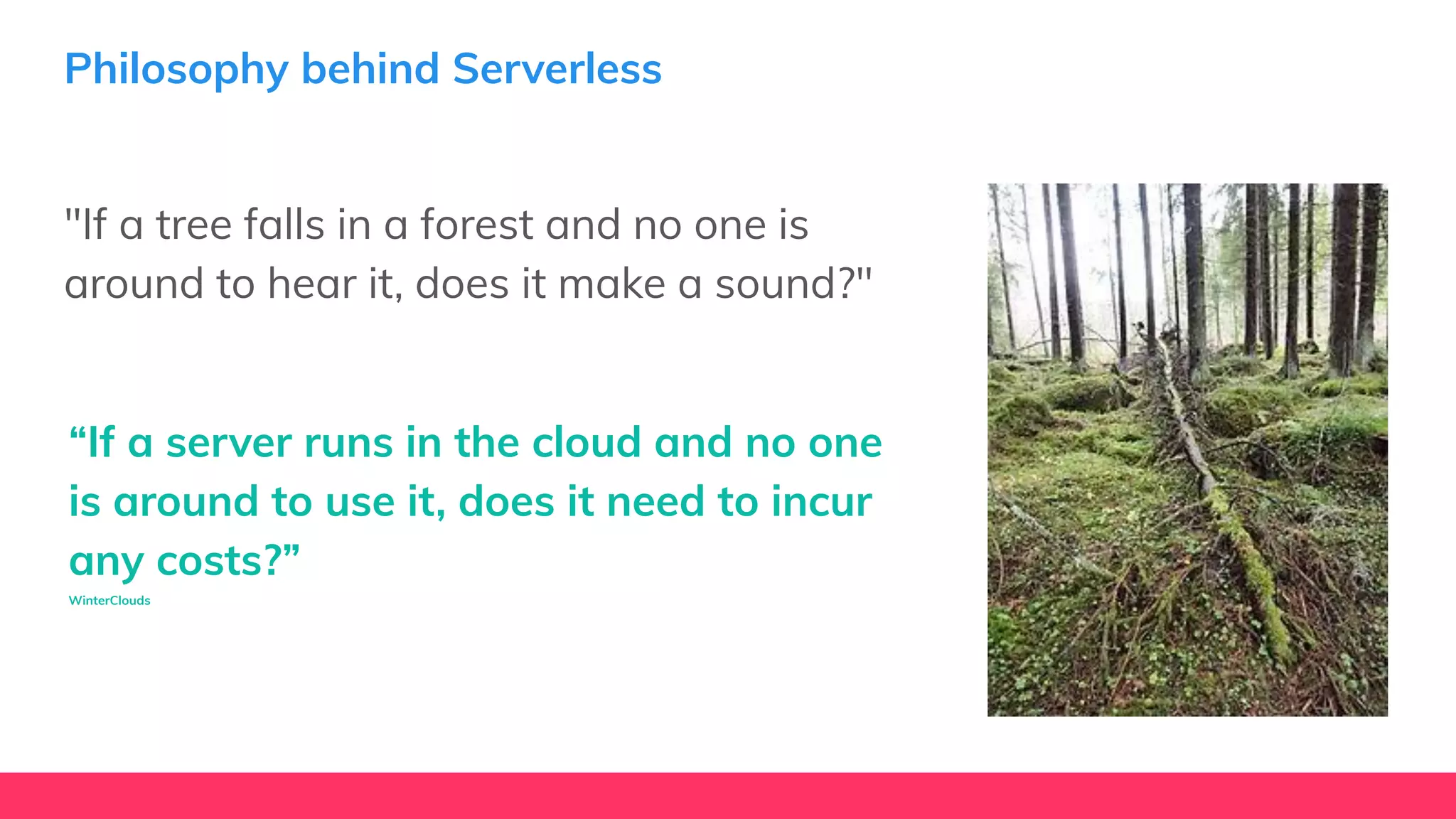Philosophy behind Serverless
"If a tree falls in a forest and no one is
around to hear it, does it make a sound?"
“If a server runs in the cloud and no one
is around to use it, does it need to incur
any costs?”
WinterClouds
 