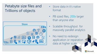 Petabyte size files and
Trillions of objects
• Store data in it’s native
format
• PB sized files, 200x larger
than anyone else
• Scalable throughput for
massively parallel analytics
• No need to redesign
application or reparation
data at higher scaleTBs
EBs
Store
 