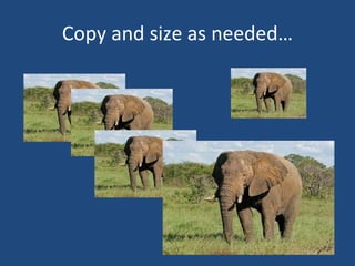 Copy and size as needed… 