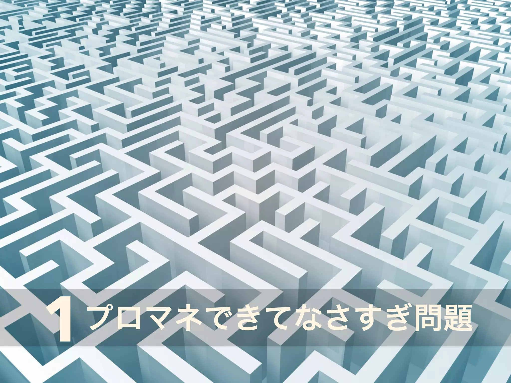 1プロマネできてなさすぎ問題 
 