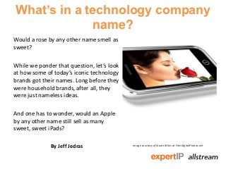 What’s in a technology company
              name?
Would a rose by any other name smell as
sweet?

While we ponder that question, let’s look
at how some of today’s iconic technology
brands got their names. Long before they
were household brands, after all, they
were just nameless ideas.

And one has to wonder, would an Apple
by any other name still sell as many
sweet, sweet iPads?

              By Jeff Jedras                Image courtesy of Stuart Miles at FreeDigitalPhotos.net
 