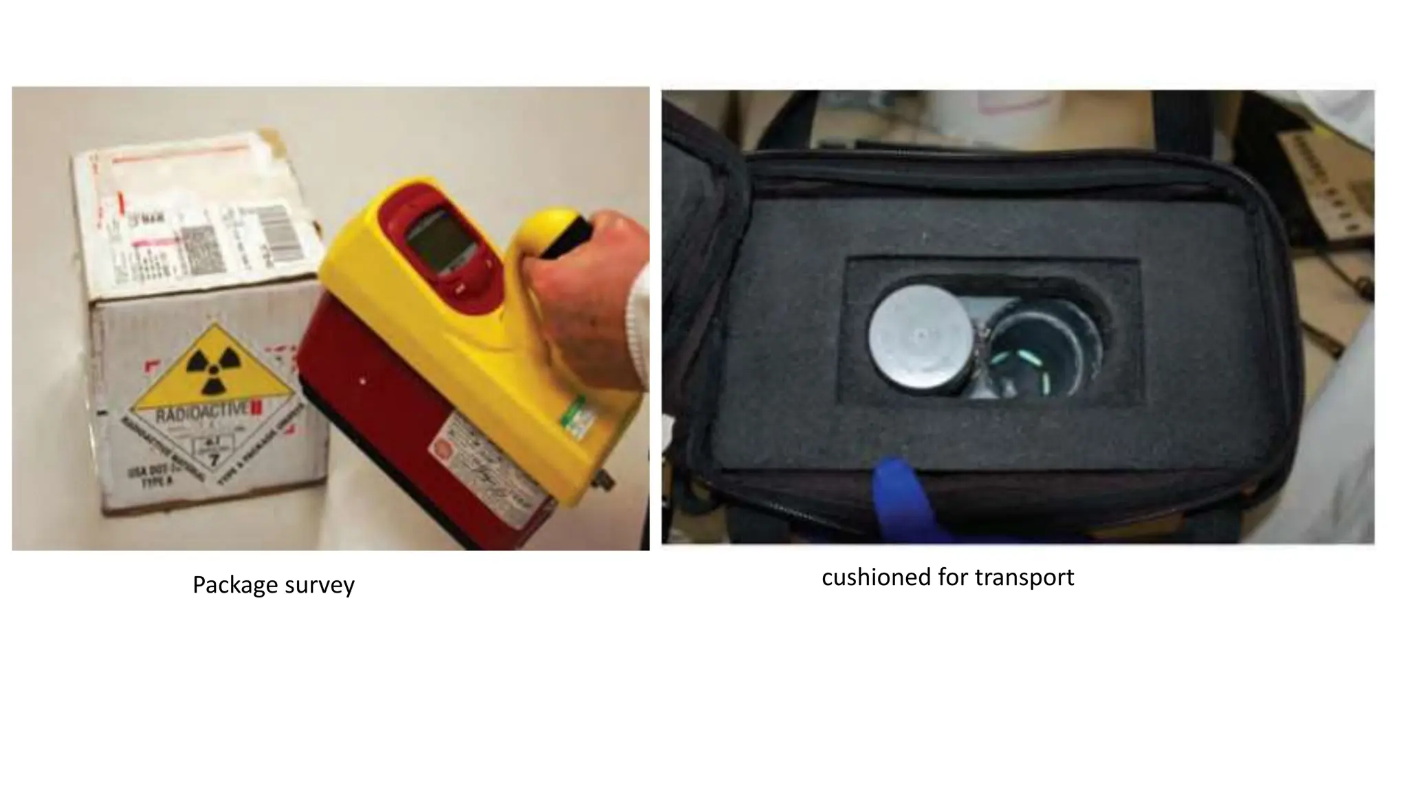 cushioned for transport
Package survey
 