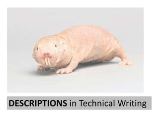 DESCRIPTIONS in Technical Writing 
 