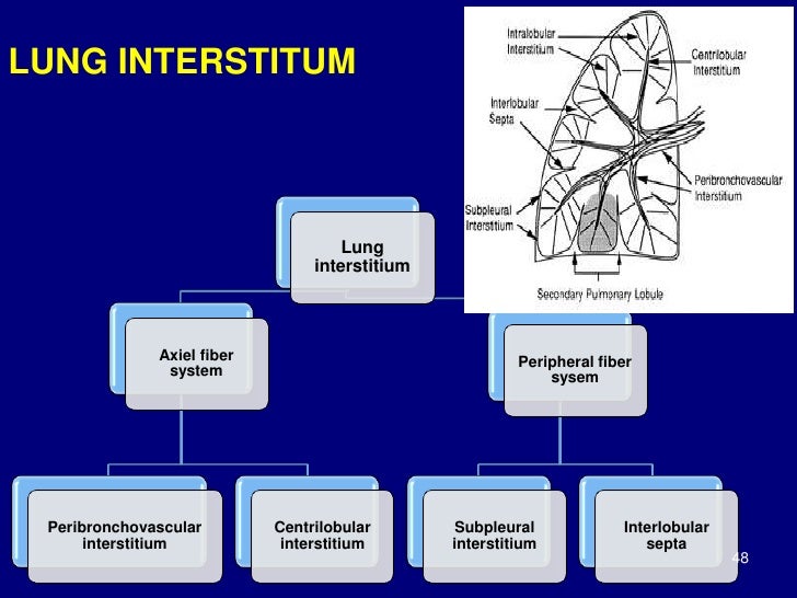 ebook trans pacific interactions