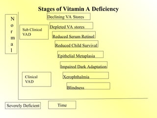 Depleted VA stores
Declining VA Stores
Reduced Serum Retinol
Reduced Child Survival
Epithelial Metaplasia
Impaired Dark Adaptation
Xerophthalmia
Blindness
Sub Clinical
VAD
Clinical
VAD
N
o
r
m
a
l
Severely Deficient Time
Stages of Vitamin A Deficiency
 