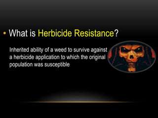 Weedicides Types Technical Aspects of Paddy Weedicides | PPTX