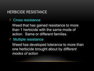 Weedicides Types Technical Aspects of Paddy Weedicides | PPTX