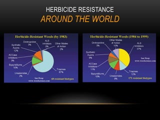 Technical Aspects of Paddy Weedicides | PPTX