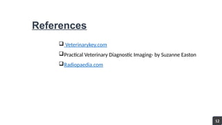 References
 Veterinarykey.com
Practical Veterinary Diagnostic Imaging- by Suzanne Easton
Radiopaedia.com
12
 
