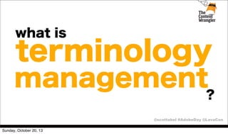 what is

terminology

management?
@scottabel #AdobeDay @LavaCon
Sunday, October 20, 13

 