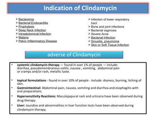 Technical discussion on clindamycin tablet | PPT