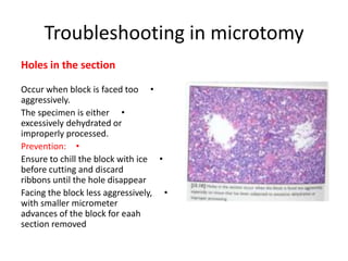 Troubleshooting in microtomy
Holes in the section
Occur when block is faced too •
aggressively.
The specimen is either •
excessively dehydrated or
improperly processed.
Prevention: •
Ensure to chill the block with ice •
before cutting and discard
ribbons until the hole disappear
Facing the block less aggressively, •
with smaller micrometer
advances of the block for eaah
section removed

 