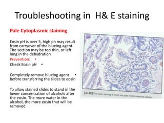 Troubleshooting in H& E staining
Pale Cytoplasmic staining
Eosin pH is over 5, high ph may result
from carryover of the blueing agent.
The section may be too thin, or left
long in the dehydration
Prevention: •
Check Eosin pH •

•

Completely remove blueing agent •
before transferring the slides to eosin
To allow stained slides to stand in the
lower concentration of alcohols after
the eosin. The more water in the
alcohol, the more eosin that will be
removed

•

 