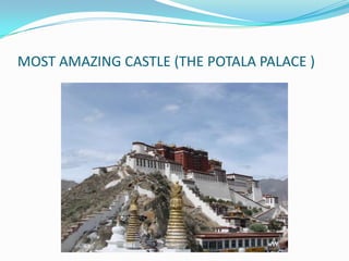 MOST AMAZING CASTLE (THE POTALA PALACE )

 