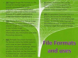 • Tiff (Tagged Image File Format) is a file   • AI (Adobe Illustrator File) is a file
  format for storing images and is              extension for a vector graphic file
  popular among graphic artists.                format used in Adobe Illustrator a
  Originally run by a company called            popular vector at application.
  Aldus it is now under control of Adobe
  Systems. It is widely supported by          • EPS (Encapsulated Postscript File) is a
  image manipulation applications.              graphic file format for exchanging
                                                images, drawings or even whole page
• PSD (Adobe Photoshop File) an image           layouts. An EPS file holds internally a
  file created by Adobe Photoshop, a            description of such an object using the
  popular image-manipulation program.           Postscript page description language.
  It may include image
  layers, adjustment layers, file
  information, key information and other
  Photoshop elements.

• PDF (Portable Document Format) is a
  file format created by Adobe systems
  and is now an open standard for
  electronic document exchange. When
  you covert documents, forms and
  graphics they look just like they would
  if printed but can also add interactive
  buttons, shields, audio and video.
 